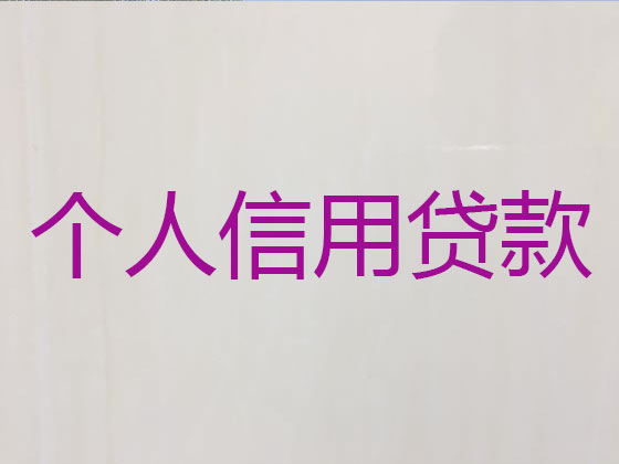 登封市贷款中介公司